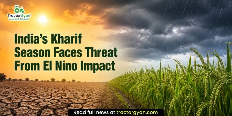 India’s kharif season faces threat from El Nino impact India’s kharif season faces threat from El Nino impact image