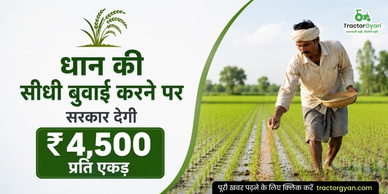 धान की सीधी बुवाई करने पर सरकार देगी ₹4,500 प्रति एकड़ धान की सीधी बुवाई करने पर सरकार देगी ₹4,500 प्रति एकड़ image