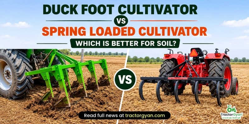 Duck Foot Cultivator vs Spring Loaded Cultivator: Which one is best for your soil? Duck Foot Cultivator vs Spring Loaded Cultivator: Which one is best for your soil? image