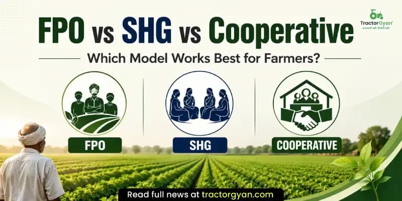 FPO vs SHG vs Cooperative: Which model works best for farmers? FPO vs SHG vs Cooperative: Which model works best for farmers? image