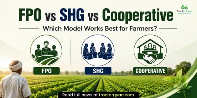 FPO vs SHG vs Cooperative: Which model works best for farmers? FPO vs SHG vs Cooperative: Which model works best for farmers? image