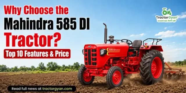 Why choose the Mahindra 585 DI tractor? Top 10 features & price Why choose the Mahindra 585 DI tractor? Top 10 features & price image