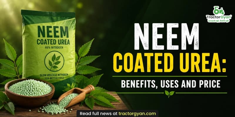 Neem coated urea: Benefits, uses and price Neem coated urea: Benefits, uses and price image