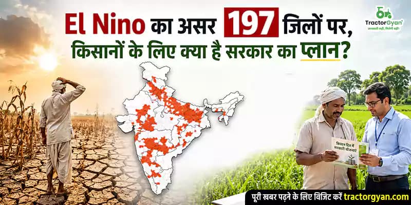 El Nino का असर 197 जिलों पर, किसानों के लिए क्या है सरकार का प्लान? El Nino का असर 197 जिलों पर, किसानों के लिए क्या है सरकार का प्लान?