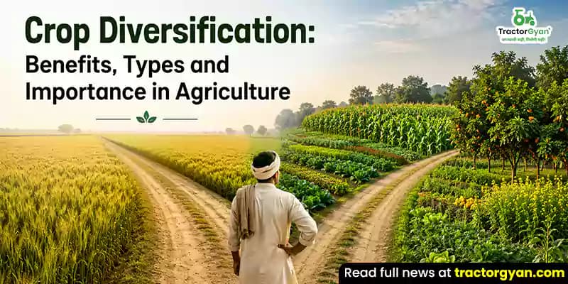 Crop Diversification: Benefits, types and importance in agriculture Crop Diversification: Benefits, types and importance in agriculture