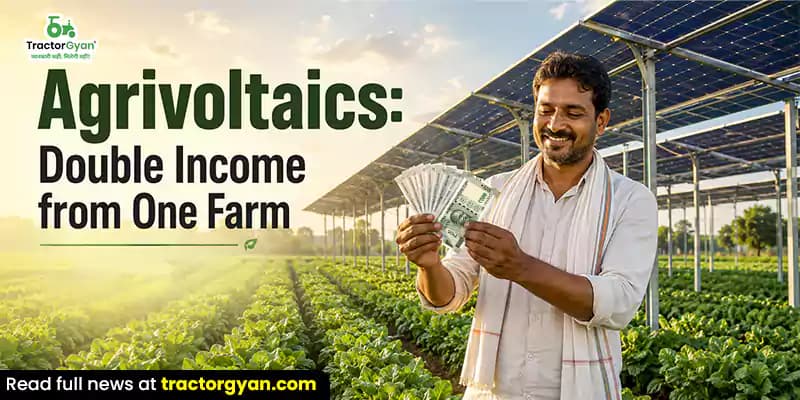Agrivoltaics: Double income from one farm Agrivoltaics: Double income from one farm image