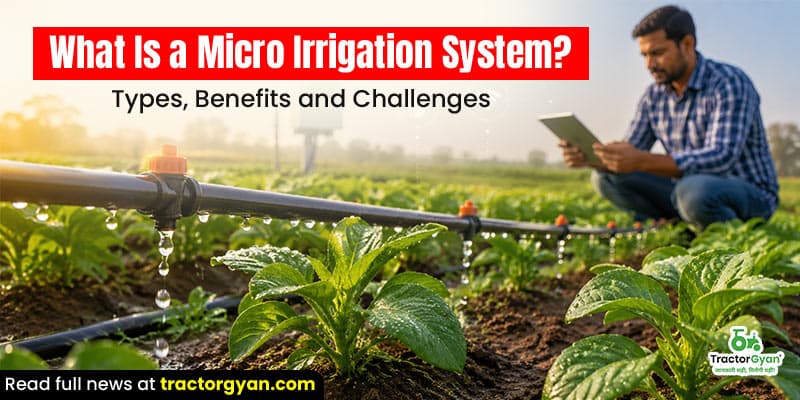 What is a micro irrigation system? Types, benefits and challenges What is a micro irrigation system? Types, benefits and challenges