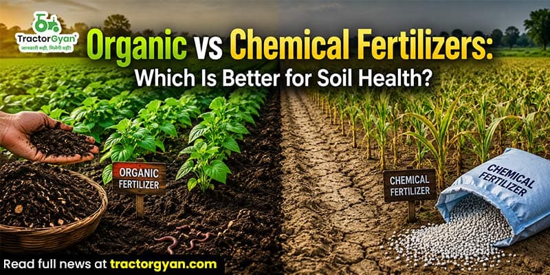 Organic vs chemical fertilizers: Which is better for soil health Organic vs chemical fertilizers: Which is better for soil health image