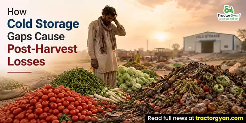 How cold storage gaps cause post-harvest losses How cold storage gaps cause post-harvest losses
