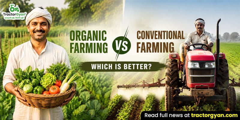 Organic farming vs conventional farming: Which is better? Organic farming vs conventional farming: Which is better?
