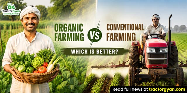 Organic farming vs conventional farming: Which is better? Organic farming vs conventional farming: Which is better? image