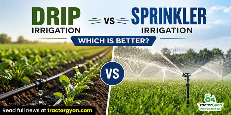 Drip irrigation vs sprinkler irrigation: Which Is better? Drip irrigation vs sprinkler irrigation: Which Is better?