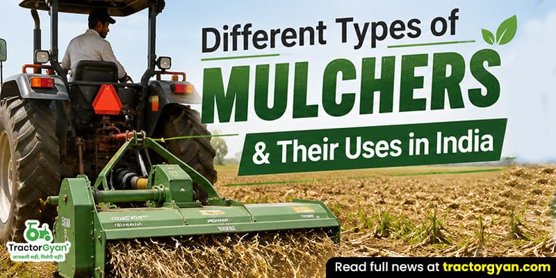 Different types of Mulchers & their uses in India Different types of Mulchers & their uses in India image