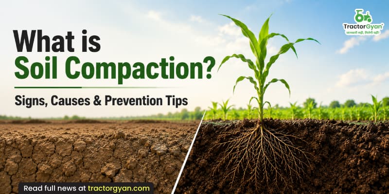 What is soil compaction? Signs, causes & prevention tips What is soil compaction? Signs, causes & prevention tips