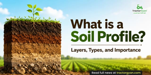 What is a soil profile? Layers, types, and importance What is a soil profile? Layers, types, and importance image