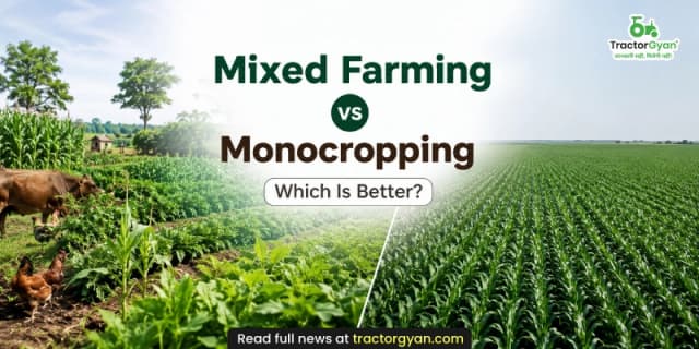 Mixed farming vs monocropping: Which Is better? Mixed farming vs monocropping: Which Is better? image