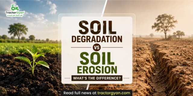 Soil degradation vs soil erosion: What's the difference? Soil degradation vs soil erosion: What's the difference? image