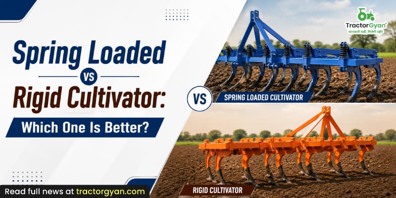 Spring loaded vs rigid cultivator: Which one is better? Spring loaded vs rigid cultivator: Which one is better? image