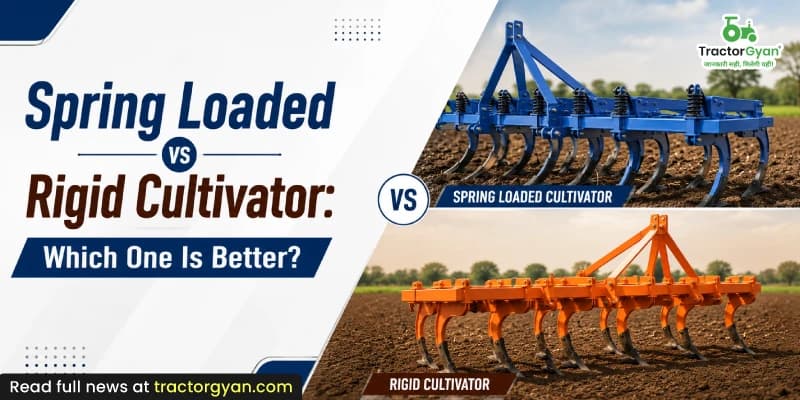 Spring Loaded vs Rigid Cultivator: Which One Is Better? Spring Loaded vs Rigid Cultivator: Which One Is Better?