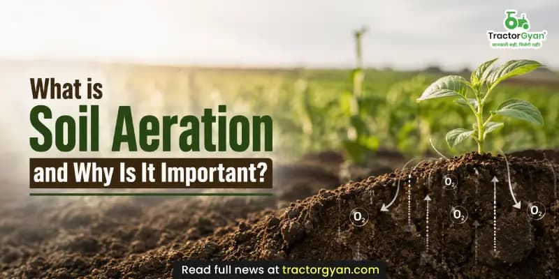 What is soil aeration and why is it important for farming? What is soil aeration and why is it important for farming? image