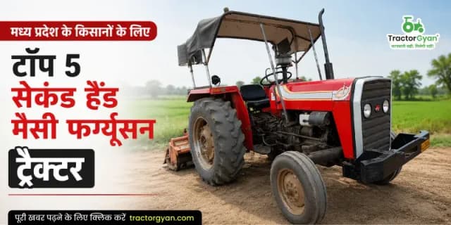 मध्य प्रदेश के किसानों के लिए टॉप 5 सेकंड हैंड मैसी फर्ग्यूसन ट्रैक्टर मध्य प्रदेश के किसानों के लिए टॉप 5 सेकंड हैंड मैसी फर्ग्यूसन ट्रैक्टर image