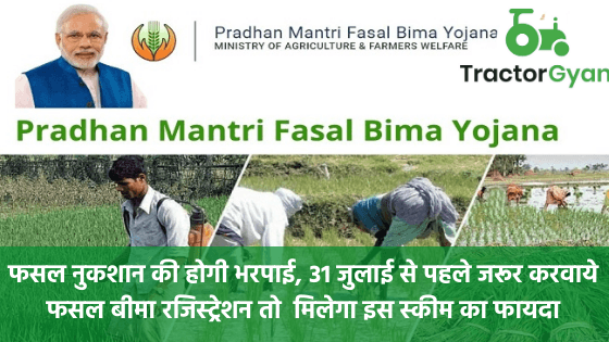 फसल  नुकशान की होगी भरपाई, 31 जुलाई से पहले जरूर करवाये फसल बीमा रजिस्ट्रेशन तो  मिलेगा इस स्कीम का फायदा फसल  नुकशान की होगी भरपाई, 31 जुलाई से पहले जरूर करवाये फसल बीमा रजिस्ट्रेशन तो  मिलेगा इस स्कीम का फायदा image