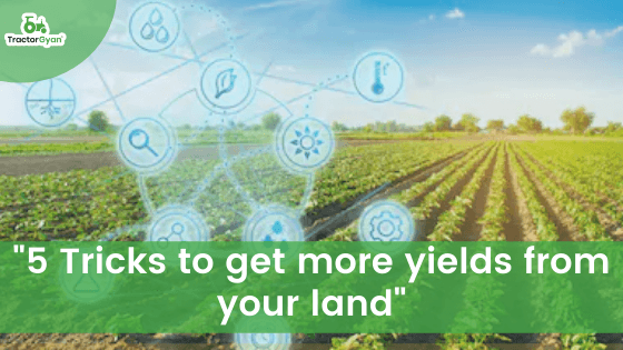 5 Tricks to get more yields from your land 5 Tricks to get more yields from your land image