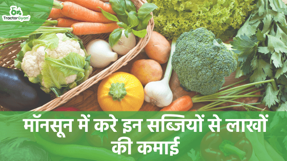 मानसून में होगा फायदा - उगाएं ये 5 सब्जियां मानसून में होगा फायदा - उगाएं ये 5 सब्जियां image