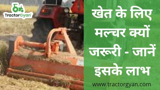 खेत के लिए मल्चर क्यों जरूरी - जानें इसके लाभ खेत के लिए मल्चर क्यों जरूरी - जानें इसके लाभ image