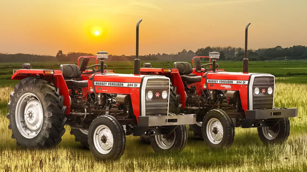 TAFE Launches Massey Ferguson 244 - Puddling Special Tractors for Andhra Pradesh TAFE Launches Massey Ferguson 244 - Puddling Special Tractors for Andhra Pradesh image