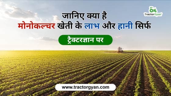 What is Monoculture farming? Advantage and Disadvantage in 2023 What is Monoculture farming? Advantage and Disadvantage in 2023 image