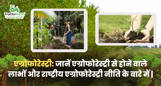 Agroforestry: Know about benefits from Agroforestry and National Agroforestry Policy. Agroforestry: Know about benefits from Agroforestry and National Agroforestry Policy. image