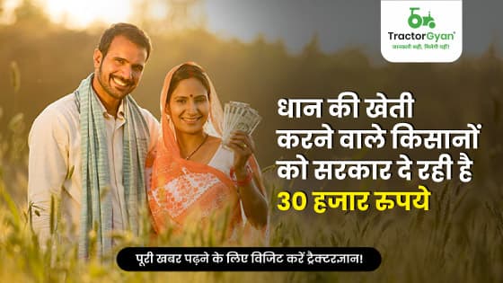 धान की खेती करने वाले किसानों को सरकार दे रही है 30 हजार रुपये धान की खेती करने वाले किसानों को सरकार दे रही है 30 हजार रुपये